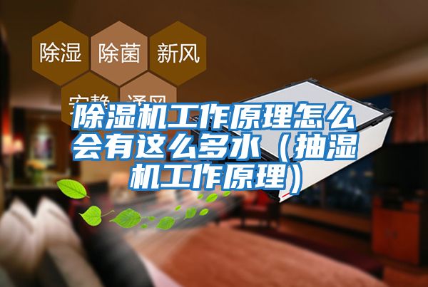 除濕機工作原理怎么會有這么多水(抽濕機工作原理)