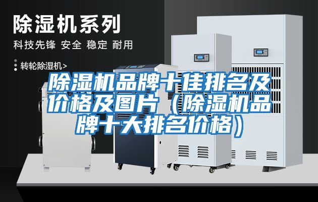 除濕機(jī)品牌十佳排名及價格及圖片(除濕機(jī)品牌十大排名價格)