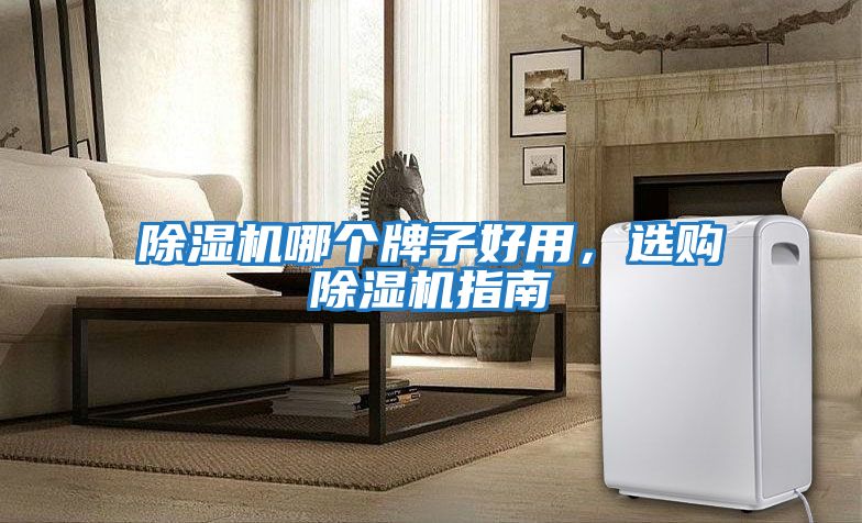 除濕機哪個牌子好用，選購除濕機指南