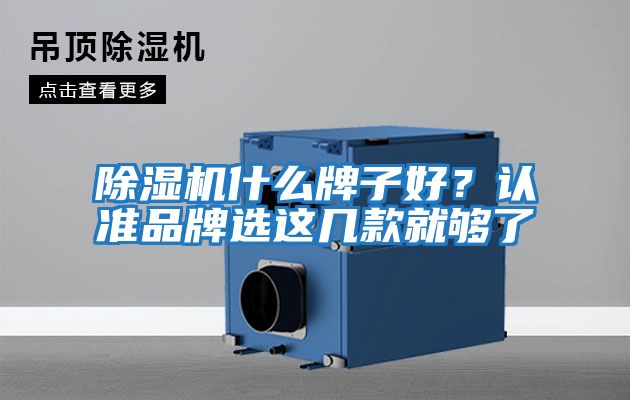 除濕機什么牌子好？認準品牌選這幾款就夠了