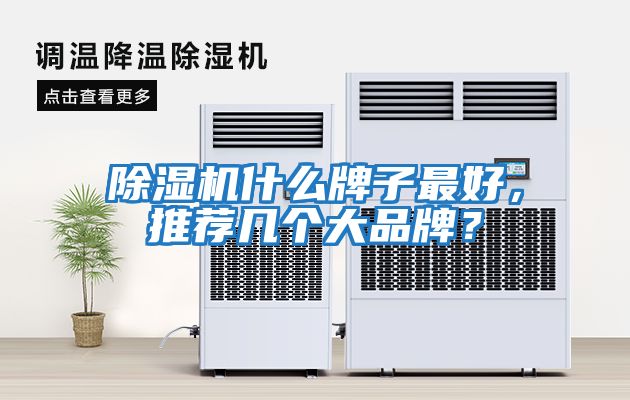 除濕機什么牌子最好，推薦幾個大品牌？