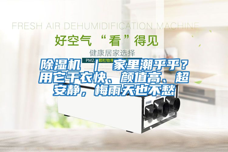 除濕機 ｜ 家里潮乎乎？用它干衣快、顏值高、超安靜，梅雨天也不愁