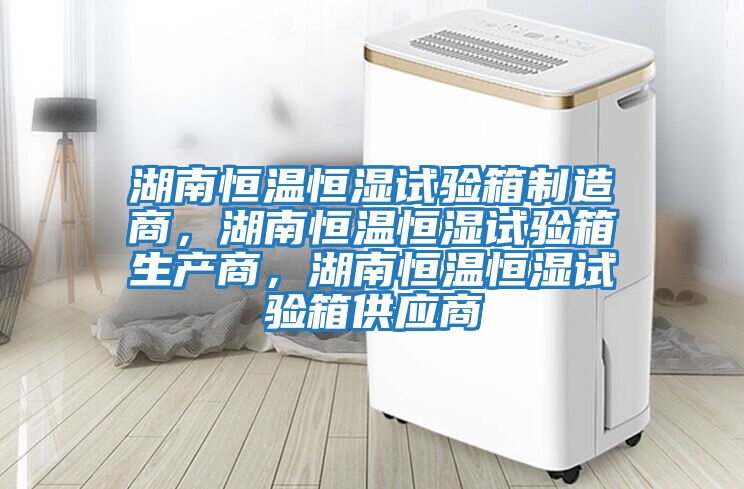 湖南恒溫恒濕試驗箱制造商，湖南恒溫恒濕試驗箱生產商，湖南恒溫恒濕試驗箱供應商