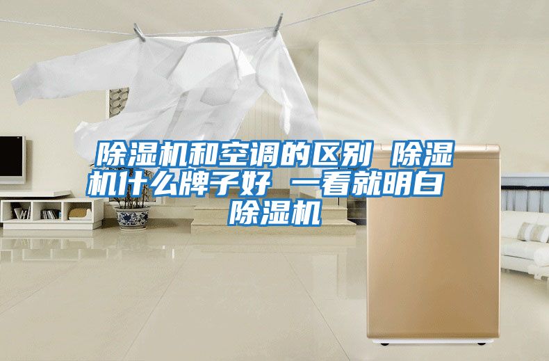 除濕機(jī)和空調(diào)的區(qū)別 除濕機(jī)什么牌子好 一看就明白 除濕機(jī)