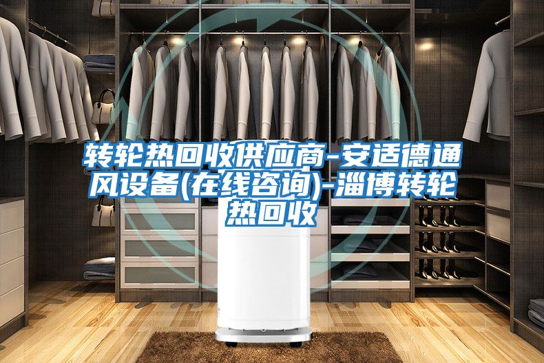 轉輪熱回收供應商-安適德通風設備(在線咨詢)-淄博轉輪熱回收