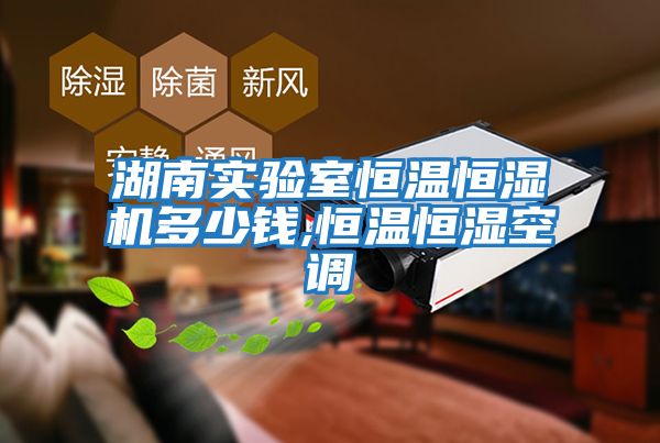 湖南實驗室恒溫恒濕機多少錢,恒溫恒濕空調