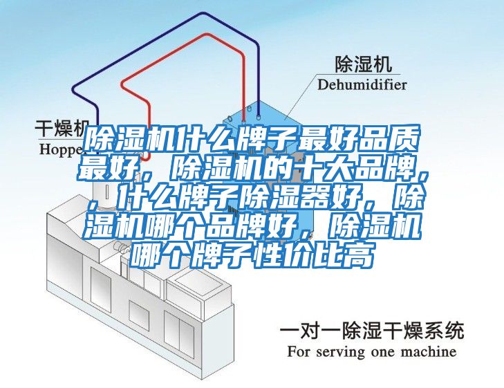 除濕機什么牌子最好品質最好，除濕機的十大品牌，，什么牌子除濕器好，除濕機哪個品牌好，除濕機哪個牌子性價比高