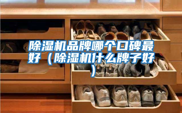 除濕機(jī)品牌哪個口碑最好（除濕機(jī)什么牌子好）