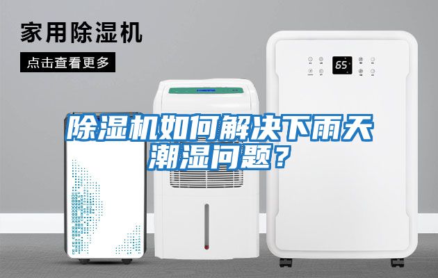除濕機如何解決下雨天潮濕問題？