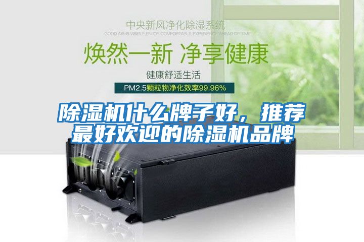 除濕機什么牌子好，推薦最好歡迎的除濕機品牌