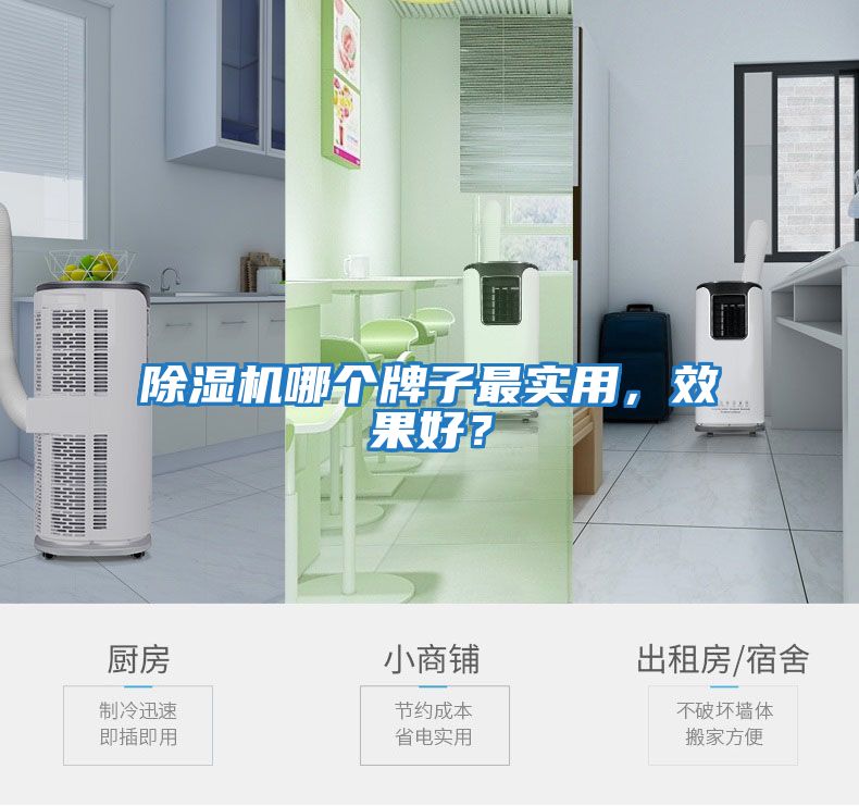 除濕機(jī)哪個(gè)牌子最實(shí)用，效果好？