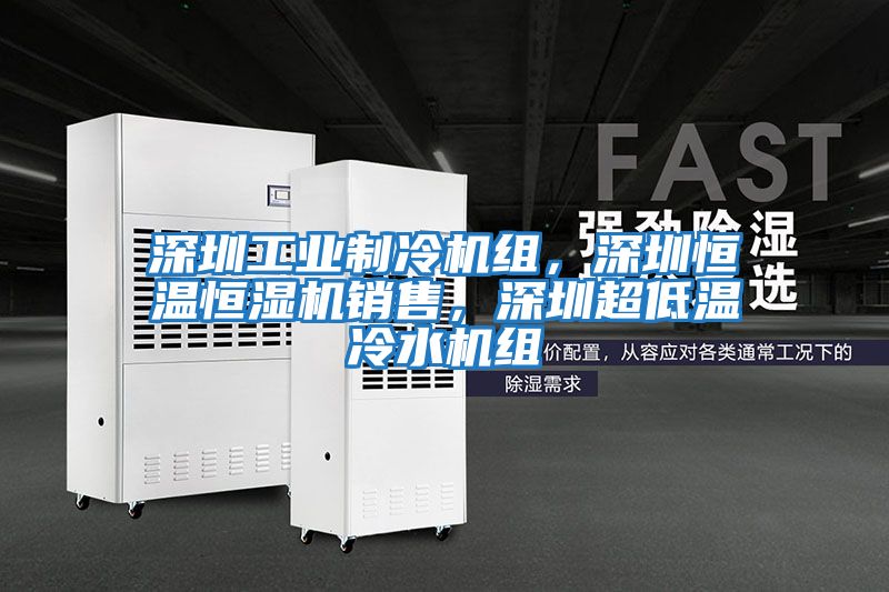 深圳工業制冷機組，深圳恒溫恒濕機銷售，深圳超低溫冷水機組