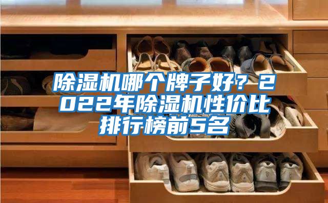 除濕機哪個牌子好？2022年除濕機性價比排行榜前5名