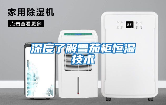 深度了解雪茄柜恒濕技術