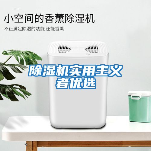 除濕機實用主義者優選