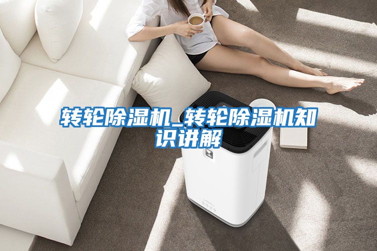 轉(zhuǎn)輪除濕機_轉(zhuǎn)輪除濕機知識講解