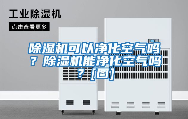 除濕機(jī)可以凈化空氣嗎？除濕機(jī)能凈化空氣嗎？[圖]