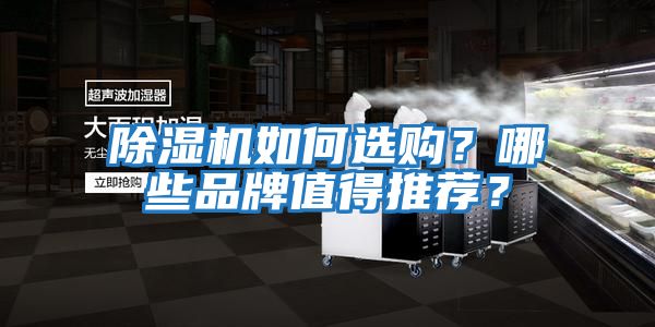 除濕機如何選購？哪些品牌值得推薦？