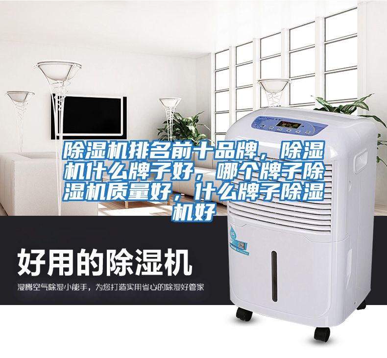 除濕機排名前十品牌，除濕機什么牌子好，哪個牌子除濕機質量好，什么牌子除濕機好