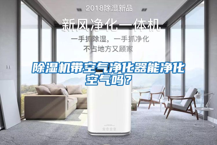 除濕機(jī)帶空氣凈化器能凈化空氣嗎?