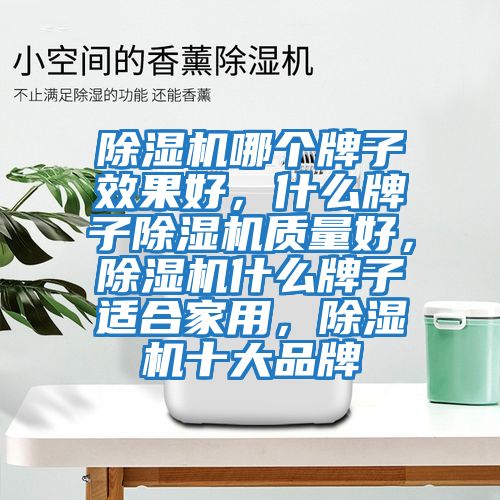 除濕機哪個牌子效果好，什么牌子除濕機質量好，除濕機什么牌子適合家用，除濕機十大品牌