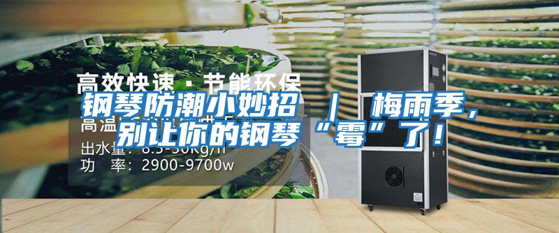 鋼琴防潮小妙招 ｜ 梅雨季，別讓你的鋼琴“霉”了！
