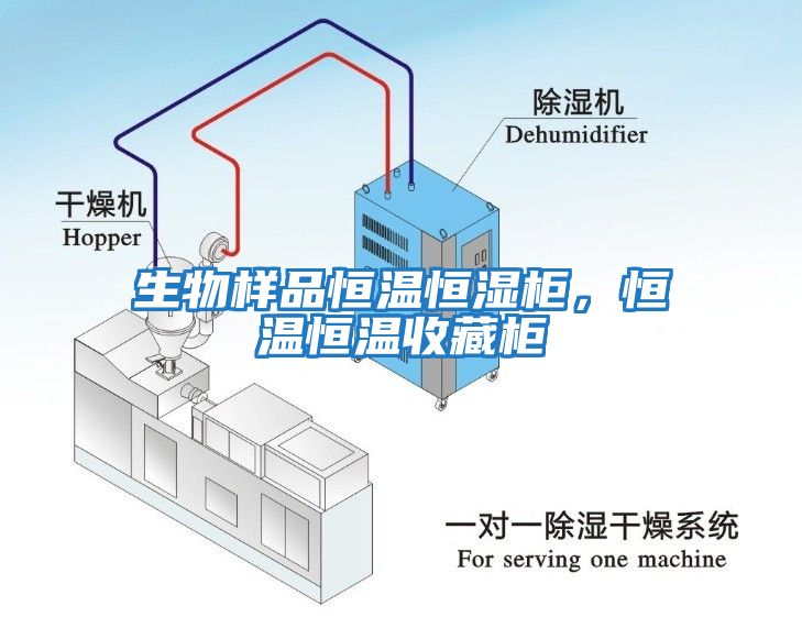 生物樣品恒溫恒濕柜，恒溫恒溫收藏柜