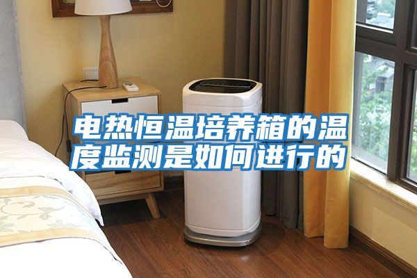 電熱恒溫培養箱的溫度監測是如何進行的
