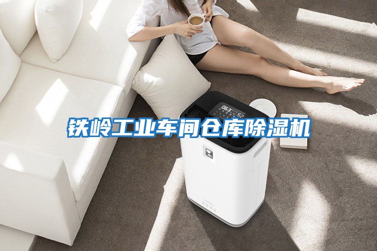鐵嶺工業車間倉庫除濕機