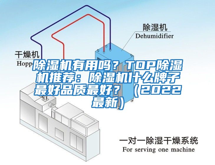 除濕機有用嗎？TOP除濕機推薦：除濕機什么牌子最好品質(zhì)最好？（2022最新）