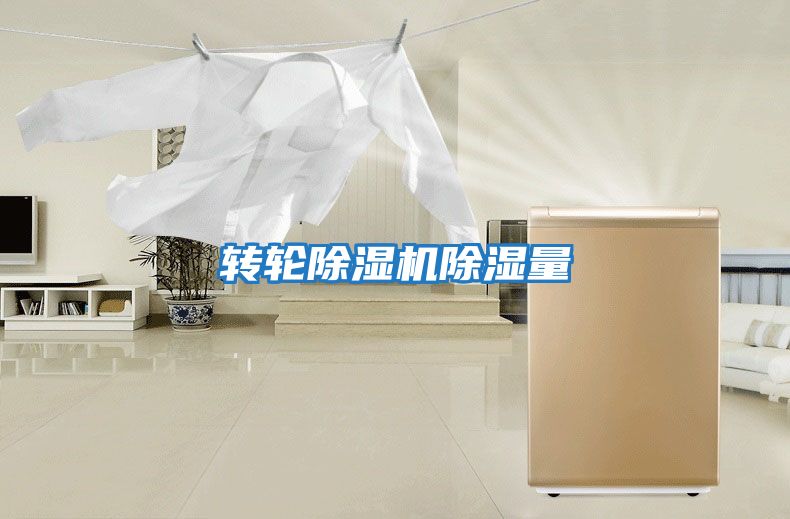 轉輪除濕機除濕量