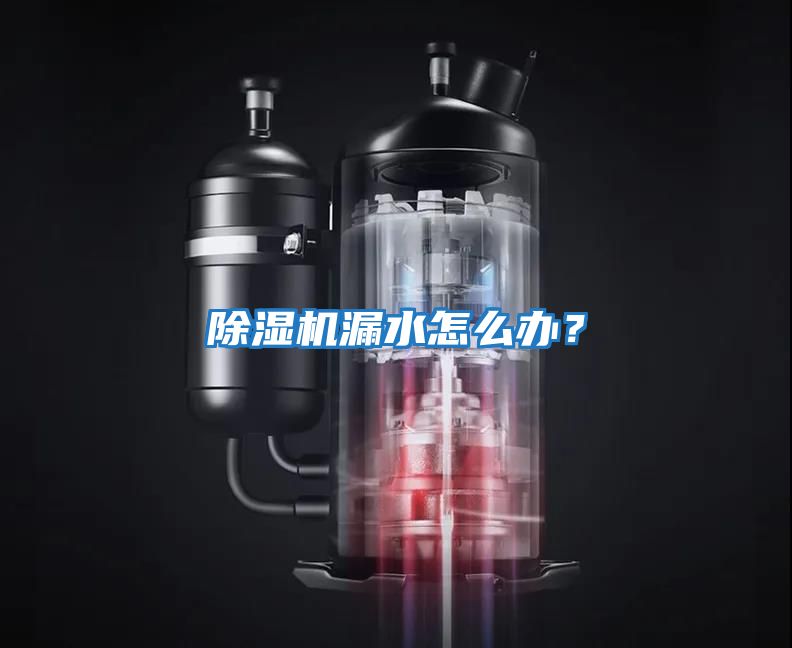 除濕機漏水怎么辦?