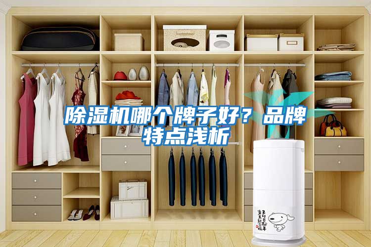 除濕機(jī)哪個(gè)牌子好？品牌特點(diǎn)淺析