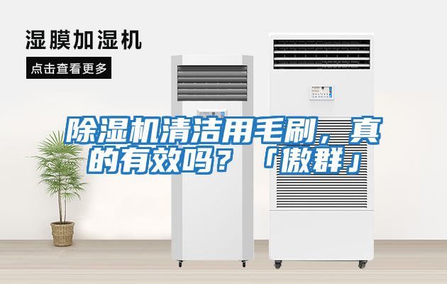 除濕機清潔用毛刷，真的有效嗎？「傲群」