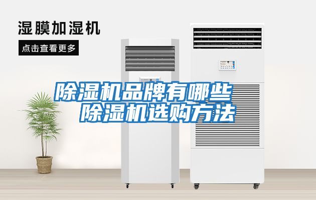 除濕機品牌有哪些 除濕機選購方法