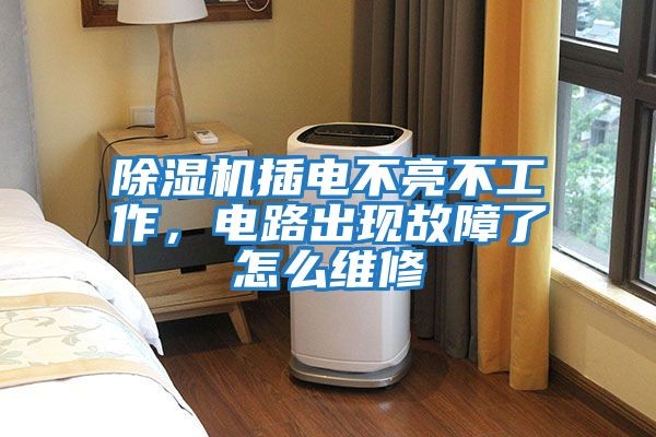 除濕機插電不亮不工作,電路出現故障了怎么維修