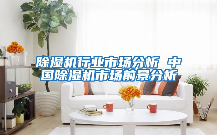 除濕機行業市場分析 中國除濕機市場前景分析