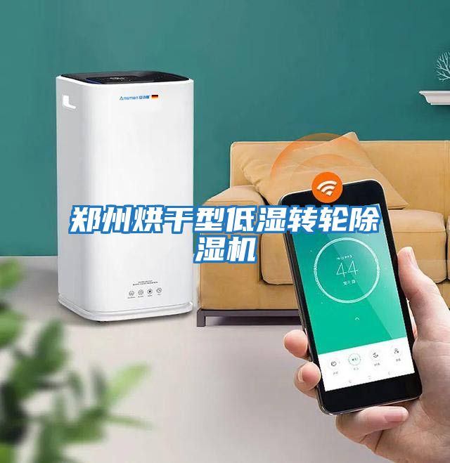 鄭州烘干型低濕轉輪除濕機