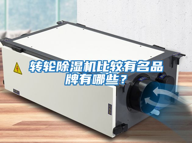 轉輪除濕機比較有名品牌有哪些？