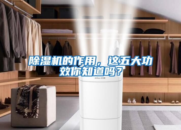除濕機的作用，這五大功效你知道嗎？
