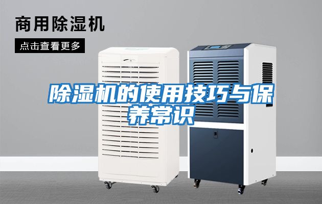 除濕機的使用技巧與保養常識