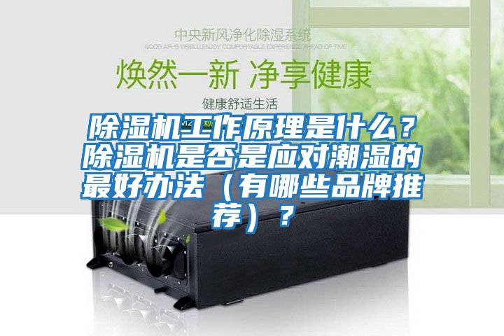 除濕機工作原理是什么？除濕機是否是應對潮濕的最好辦法（有哪些品牌推薦）？