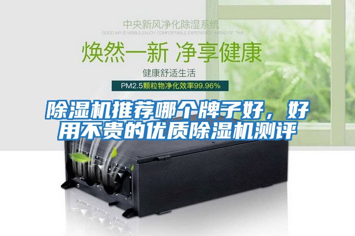 除濕機推薦哪個牌子好，好用不貴的優質除濕機測評