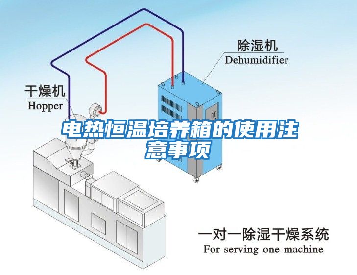 電熱恒溫培養箱的使用注意事項