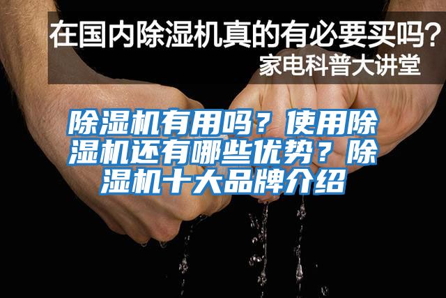除濕機有用嗎?使用除濕機還有哪些優勢?除濕機十大品牌介紹