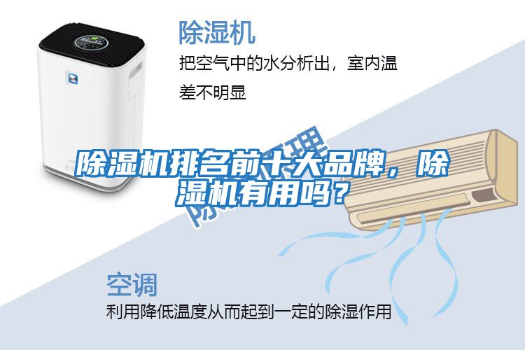 除濕機排名前十大品牌，除濕機有用嗎？