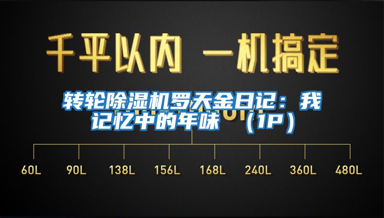 轉輪除濕機羅天金日記:我記憶中的年味 (1P)