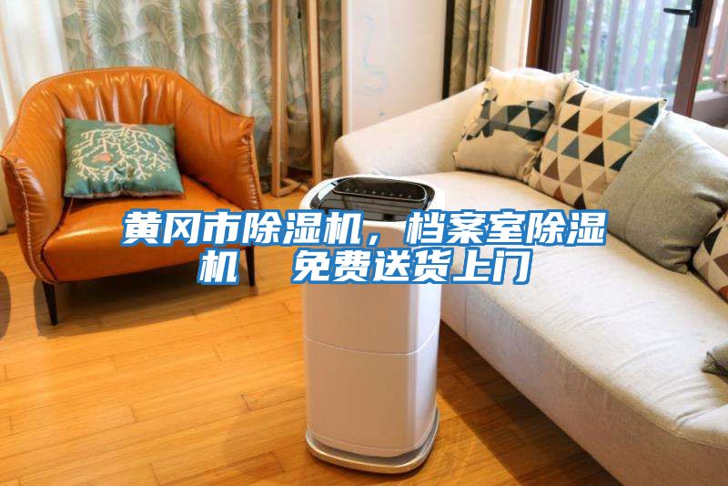 黃岡市除濕機，檔案室除濕機  免費送貨上門