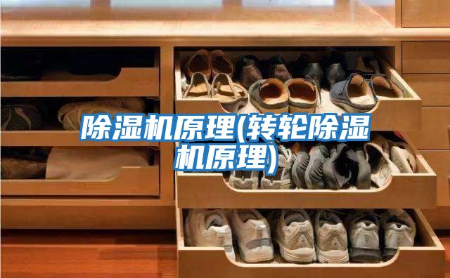 除濕機原理(轉輪除濕機原理)