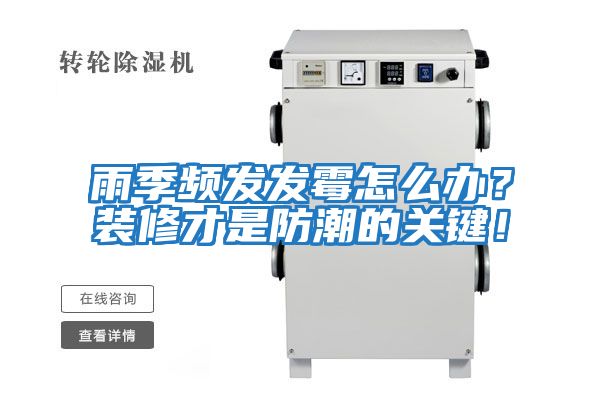 雨季頻發(fā)發(fā)霉怎么辦?裝修才是防潮的關(guān)鍵!